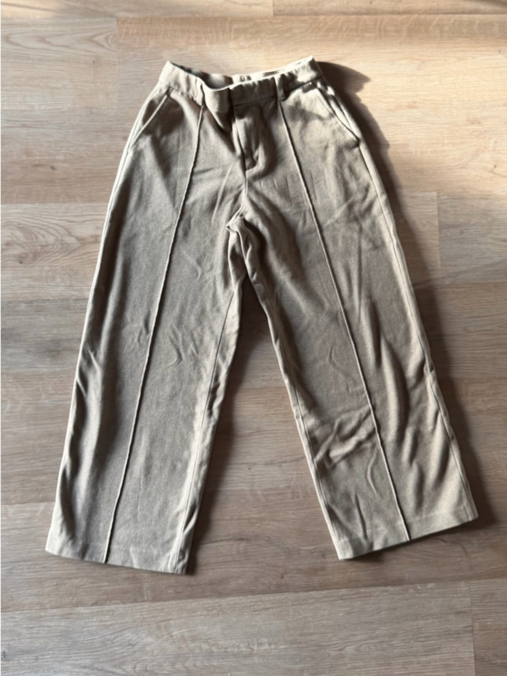 Uniqlo Pleated Baggy Pants